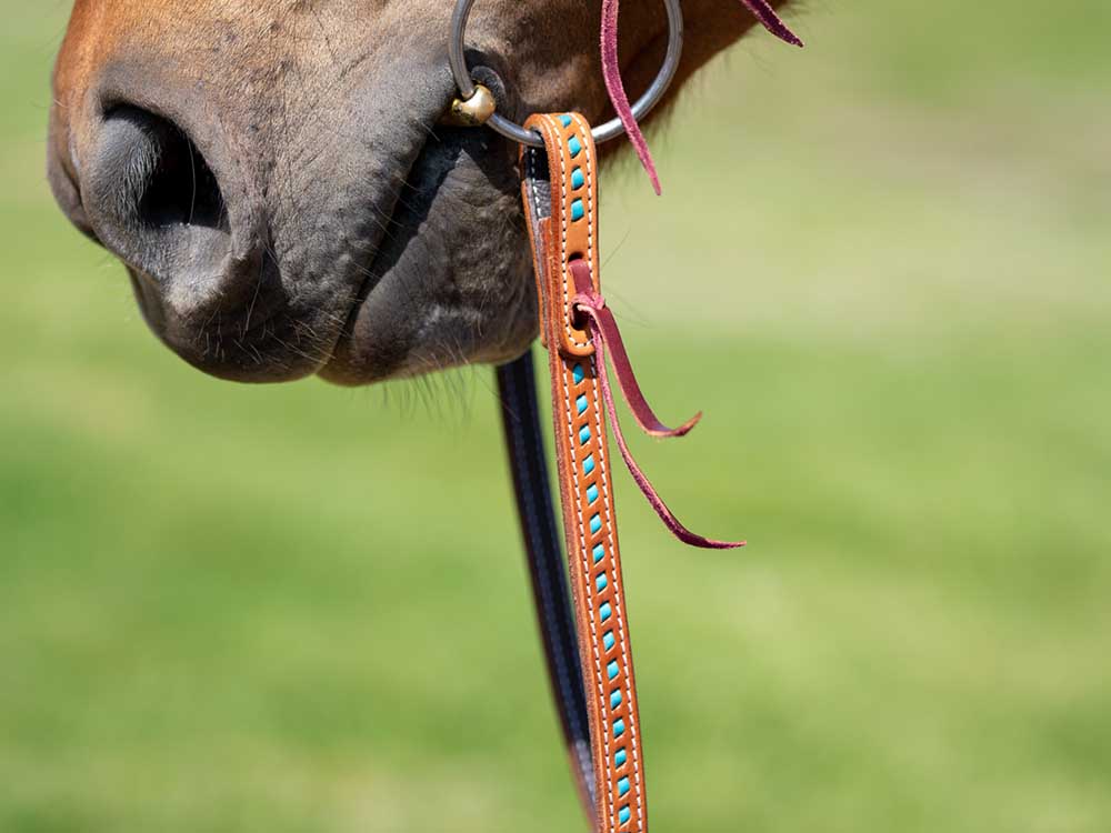 Horse Roping Knotted Tack Western Barrel Reins Nylon Braided Horse Roping Knotted Tack Western Barrel Reins Nylon Braided