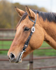 Horse wearing a bridle with a blurred background