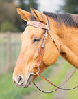 Western Headstall