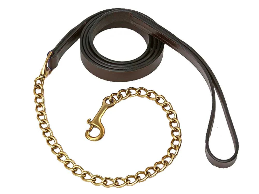 Brown leather dog leash with gold chain and clasp