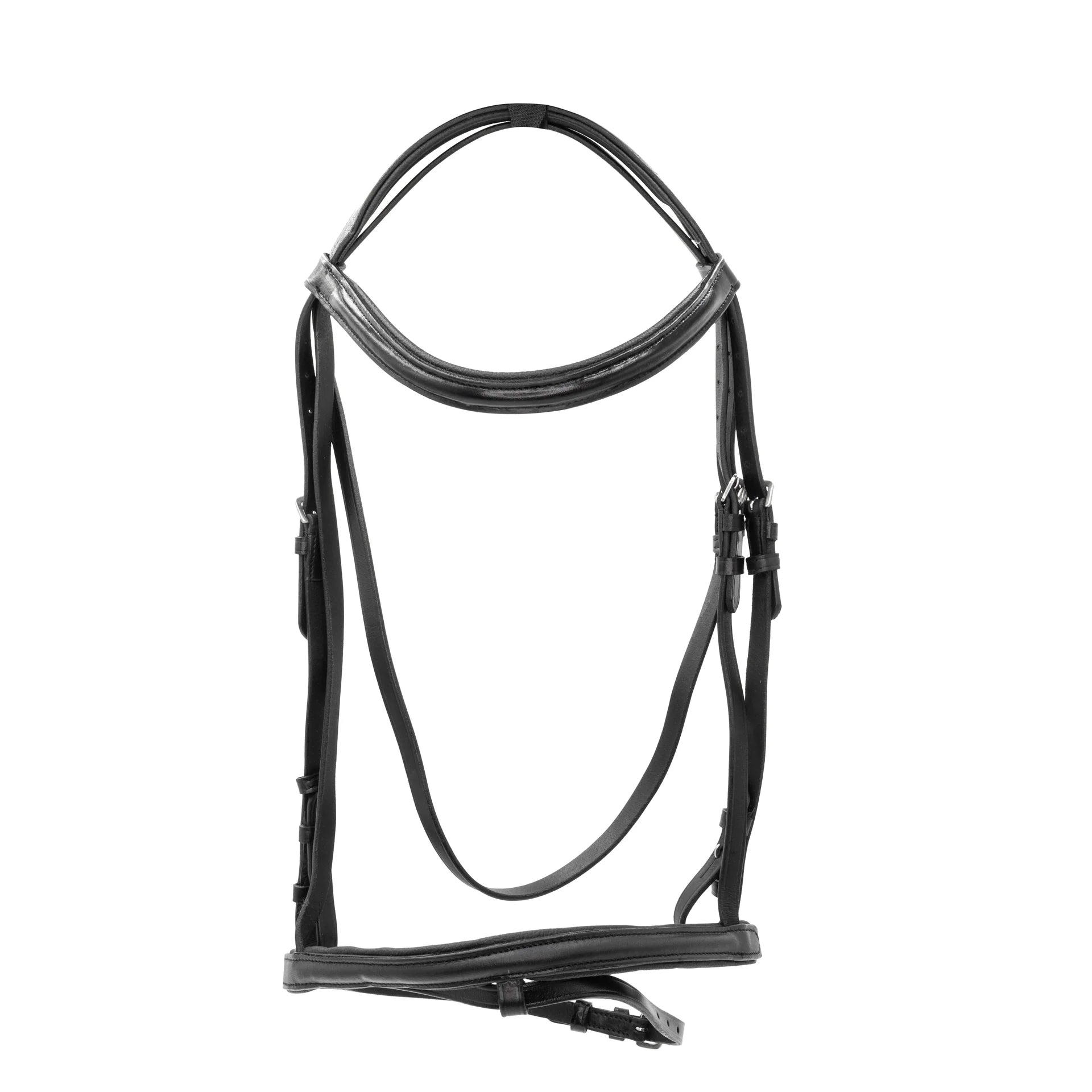 Black horse bridle on a white background