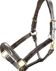 Brown leather horse halter with gold hardware