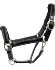 Black leather horse halter with shiny metallic accents on a white background