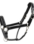 Black leather horse halter with metal hardware
