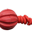 Serrated Ball with Rope Dog Toy