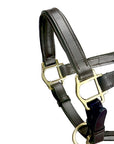 Padded Pony Leather Halters