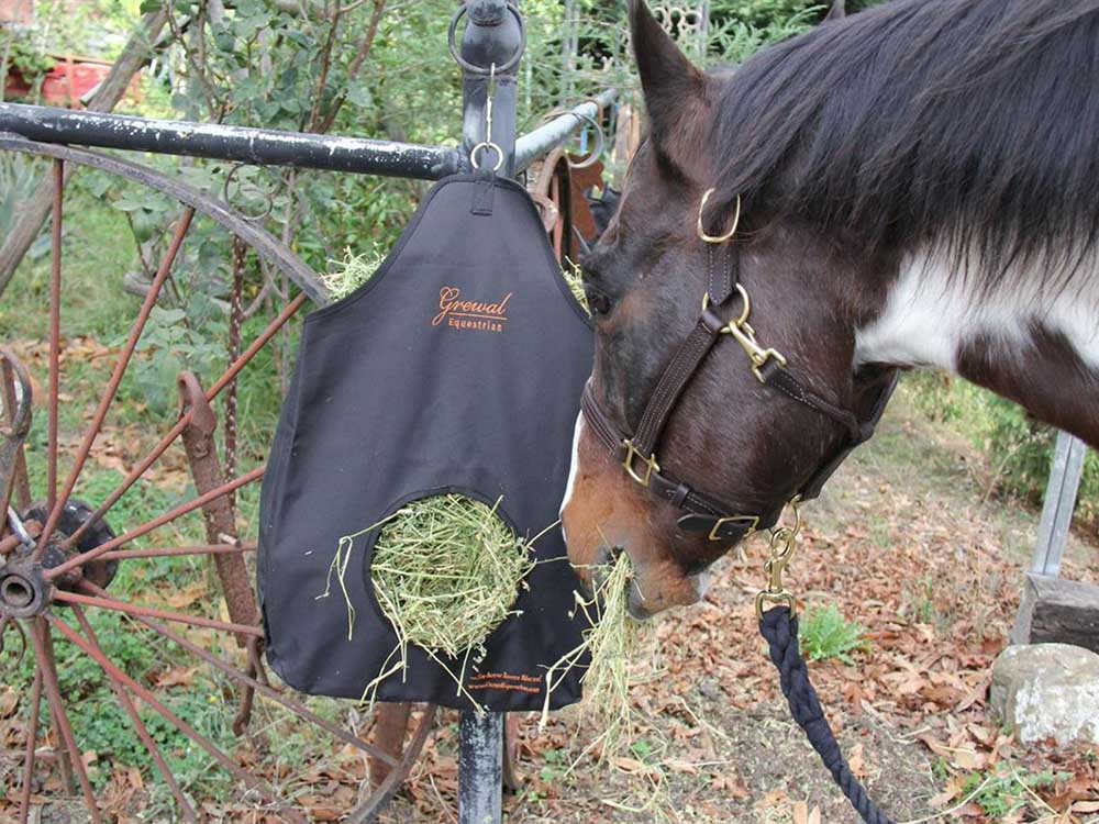 Brown horse eating from Grewal Small Black Hay Bag