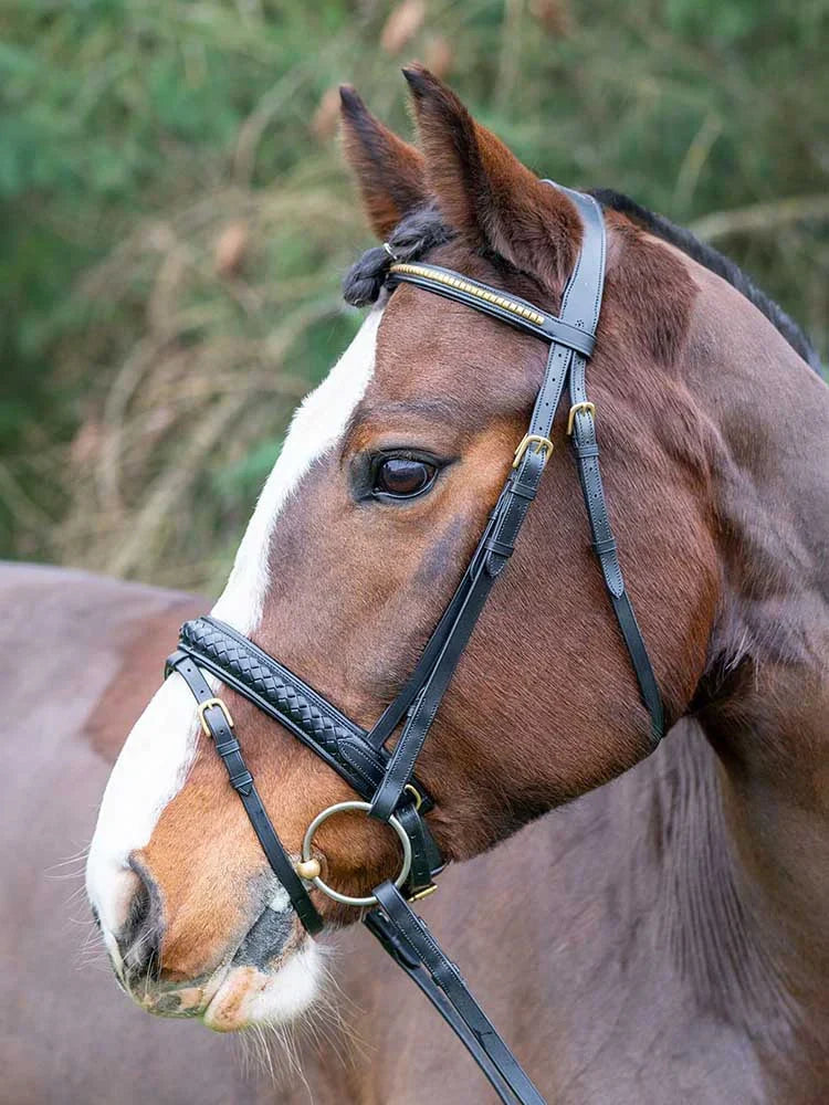 Danube Dressage Bridle with Clincher Browband on brown horse