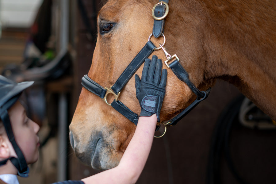 Isabella Riding Gloves petting horse