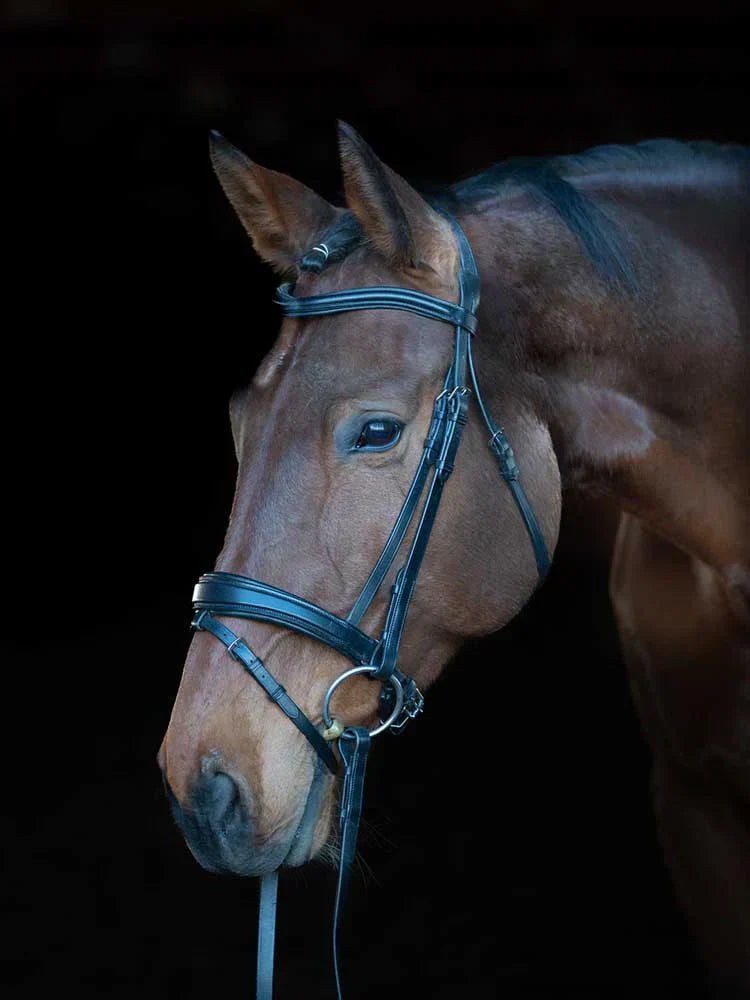 Brown horse wearing top-grain black leather Southport Dressage Bridle