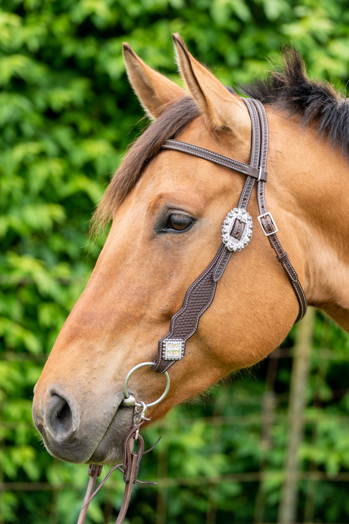 The Perfect Western Bridle Combines Function and Style