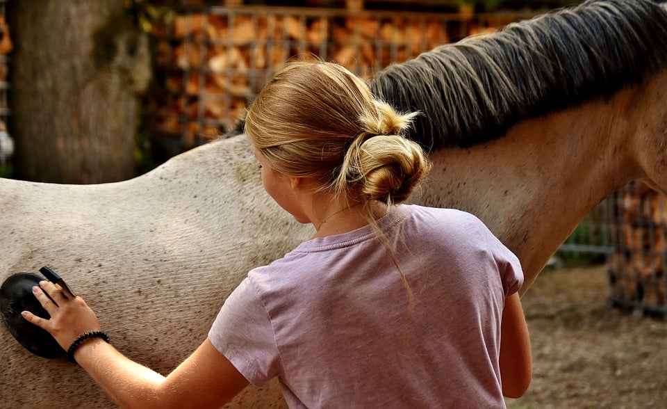 Horse care and grooming supplies