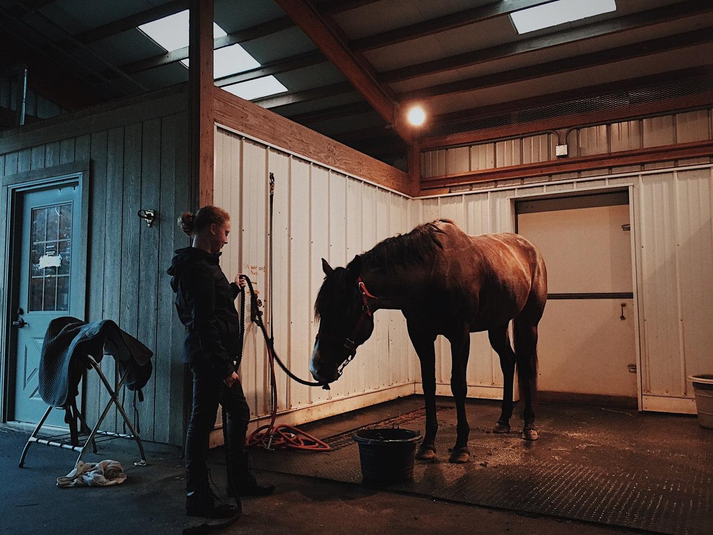 Stable and horse grooming supplies