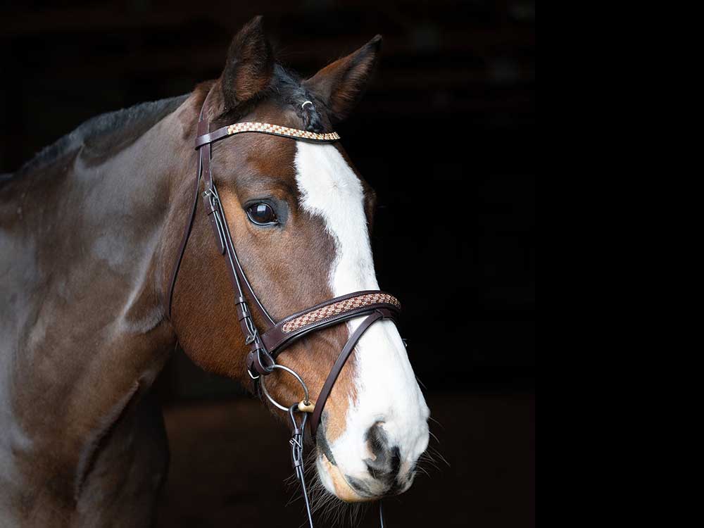 Bridles