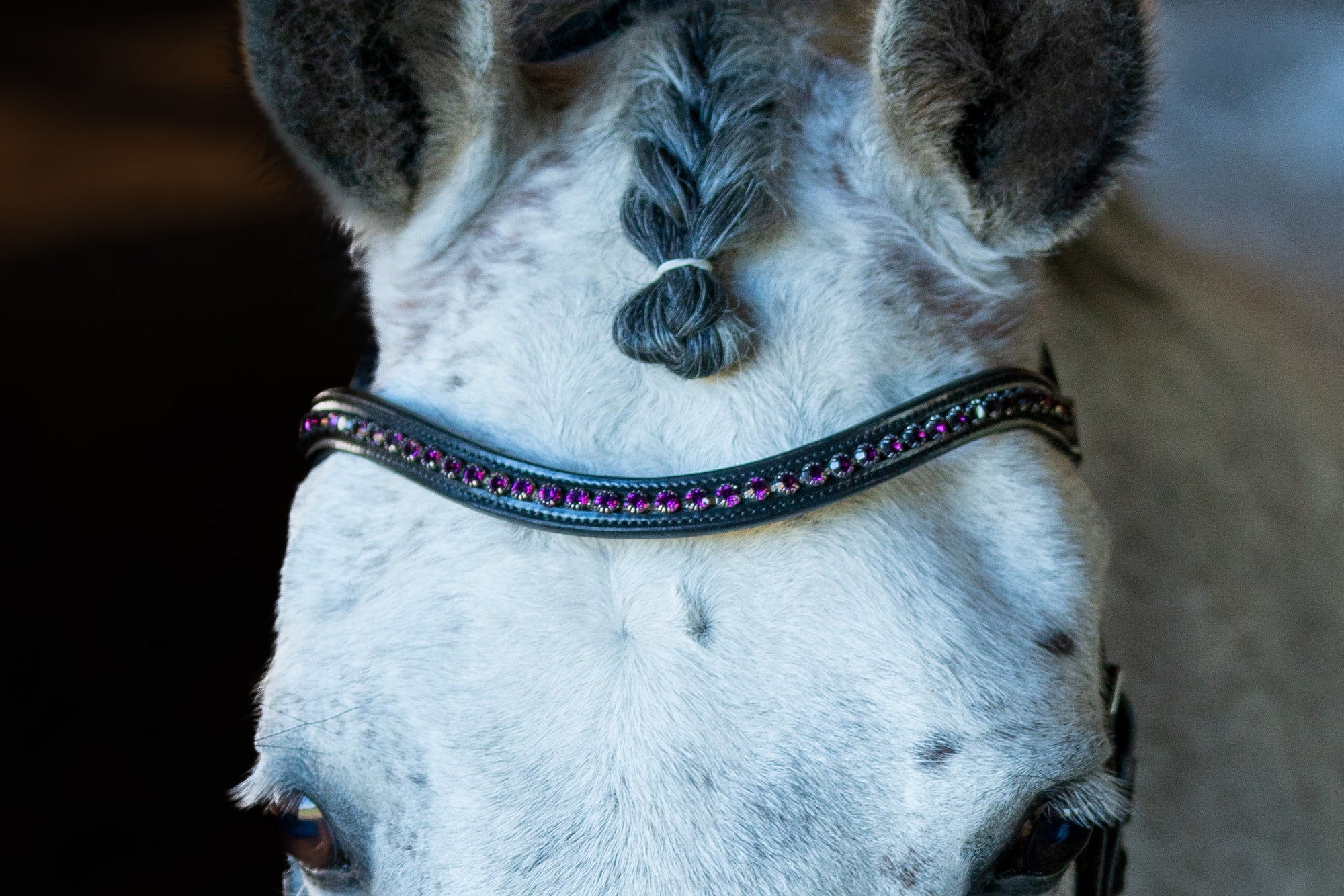 Browbands