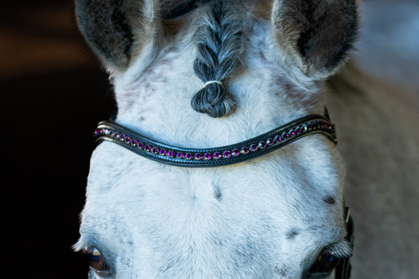 Browbands