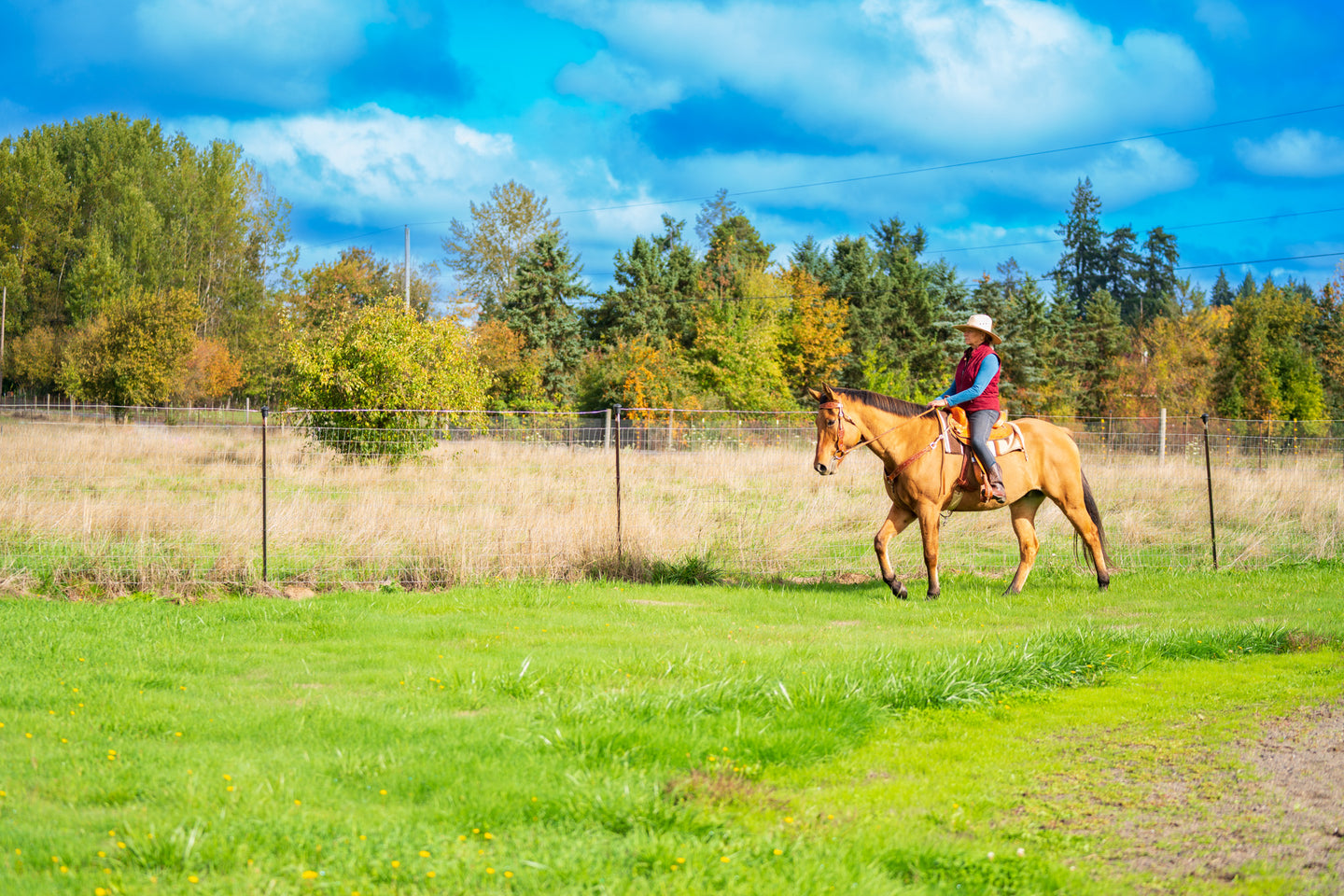 Western Horse Tack