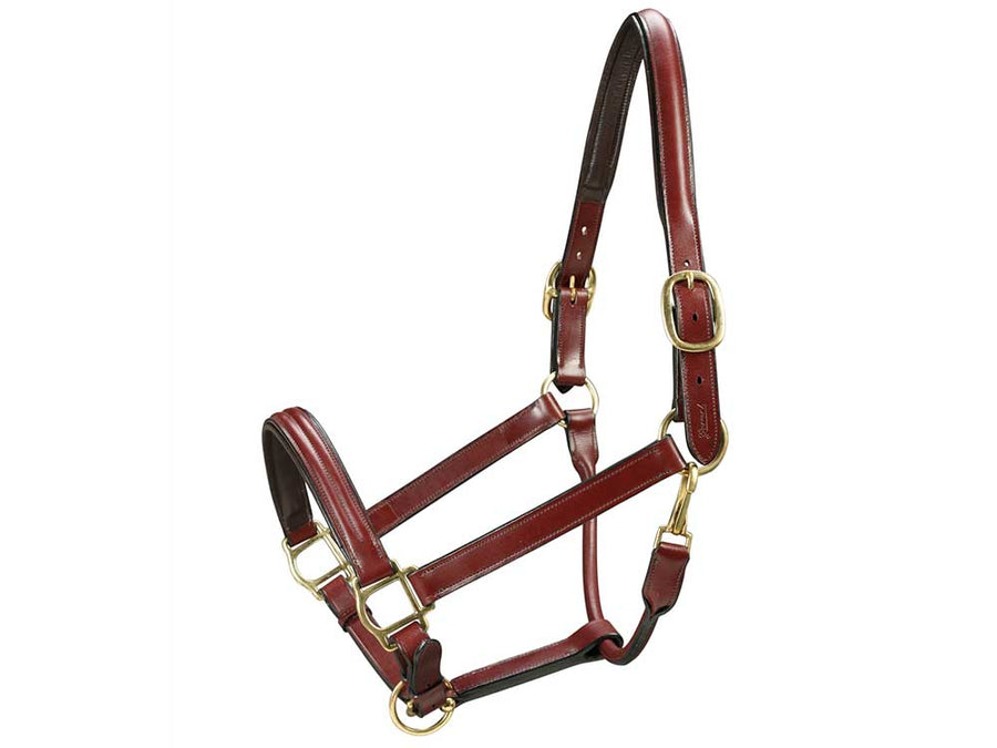 Triple Stitched Padded Leather Horse Halter