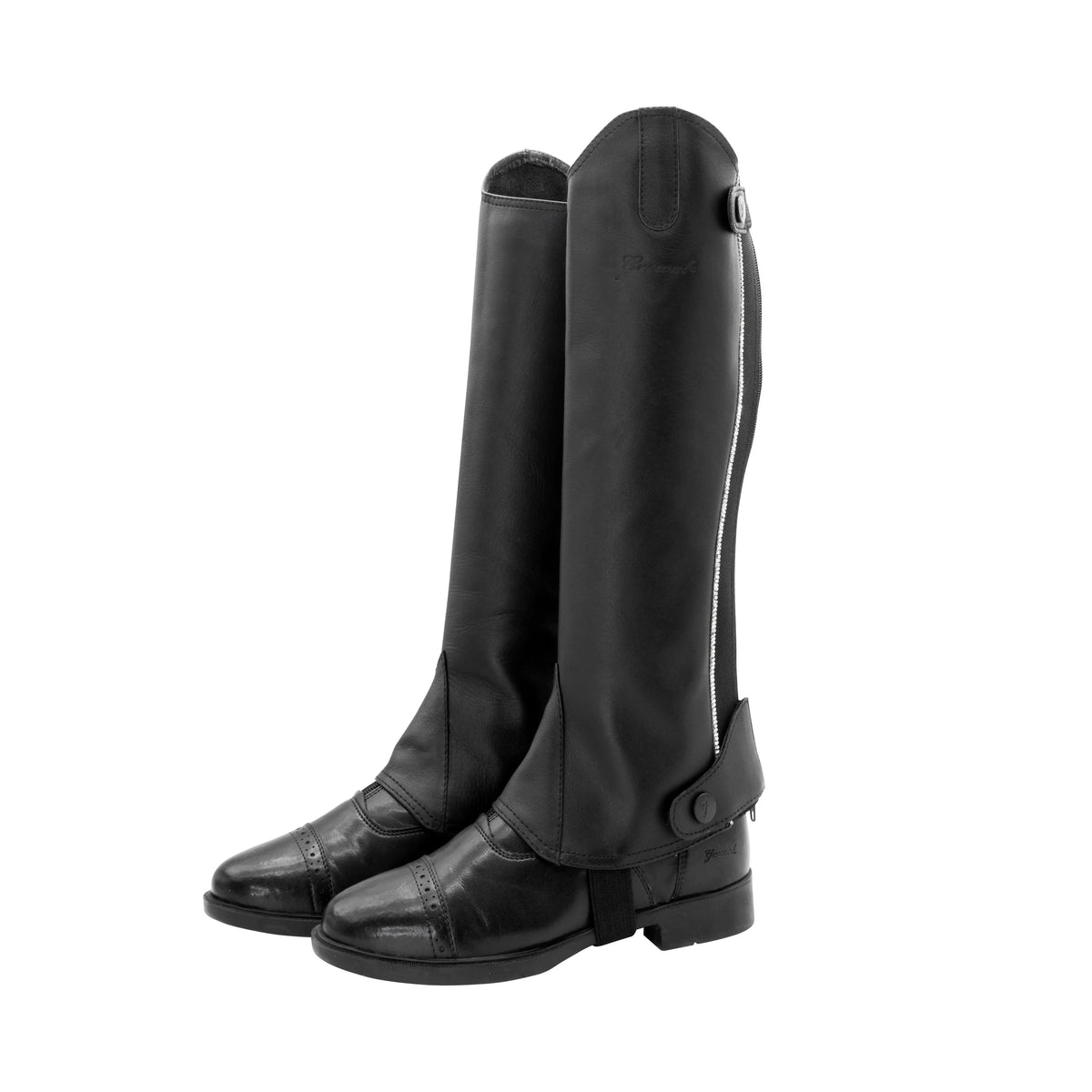 Dynasty Half Chaps