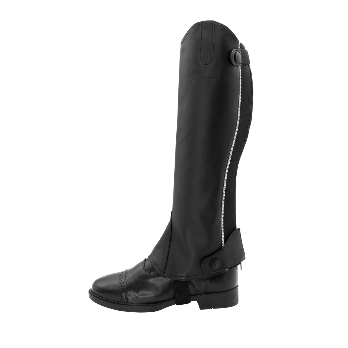 Dynasty Half Chaps