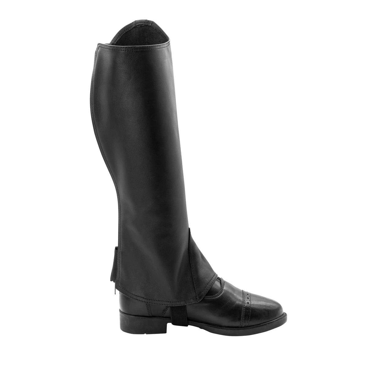 Dynasty Half Chaps
