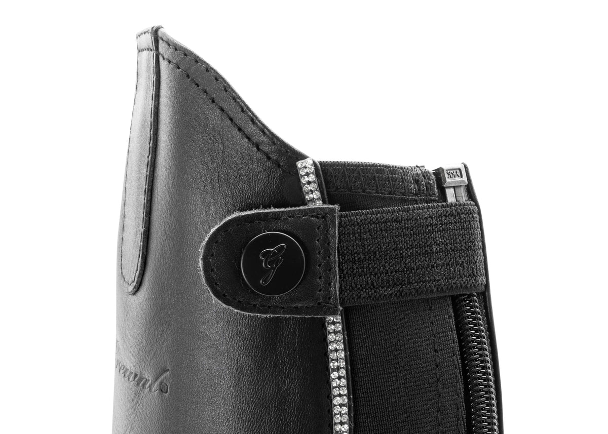 Dynasty Half Chaps