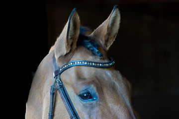 Crystal browband with bling