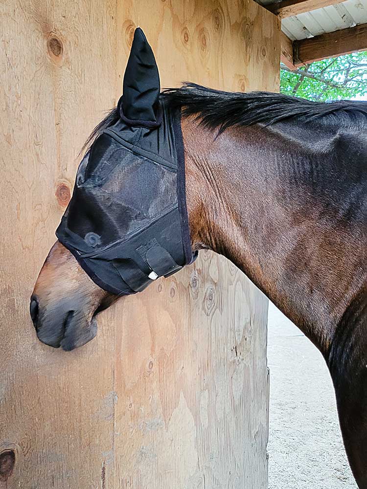 Fly Mask with Lycra Ears