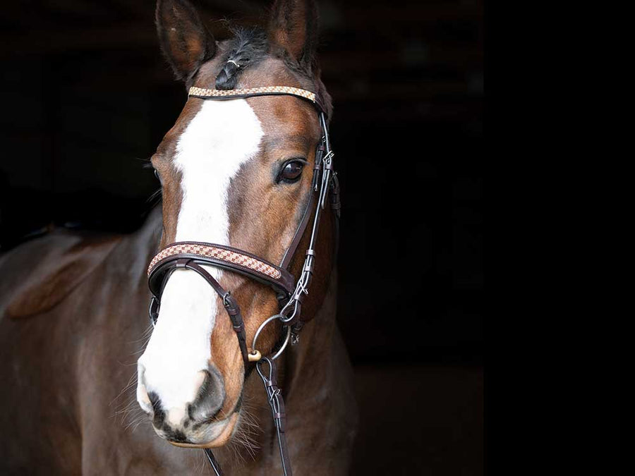 Bonn Crank Dressage Bridle With Flash