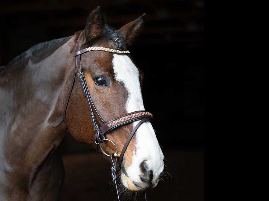 Bonn Crank Dressage Bridle With Flash
