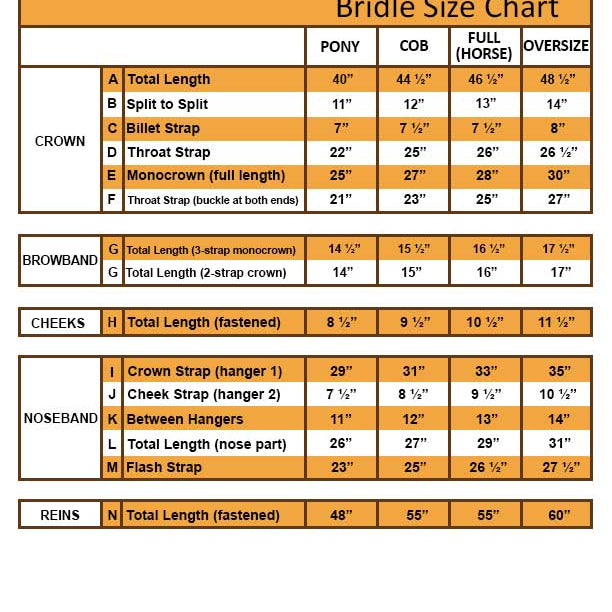 The Ultimate Guide to Horse Bridles Types, Parts and More Grewal
