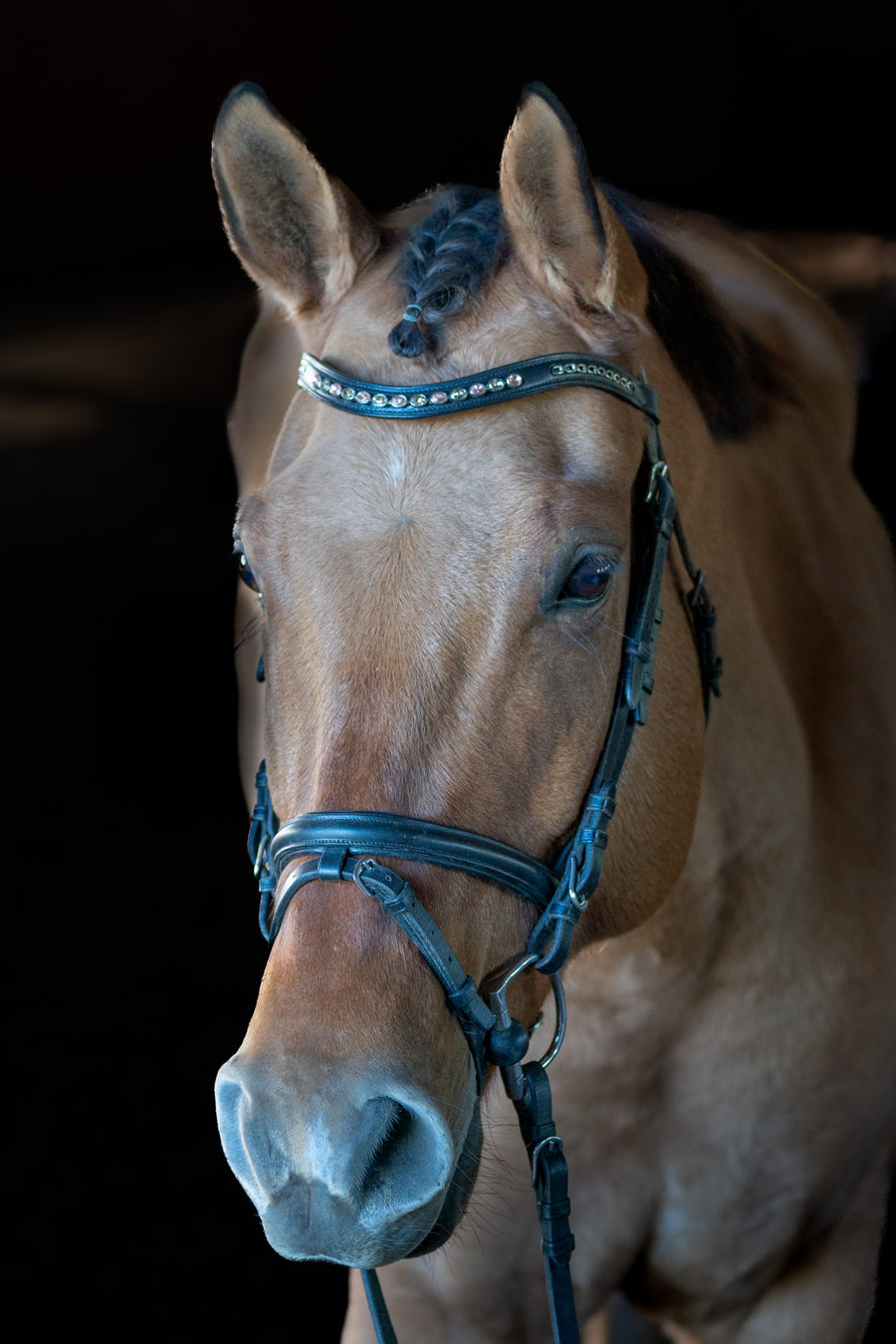 Crystal browband with bling