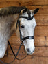 A gray horse wearing a black monocrown bridle with a snakeskin-embossed design and stainless-steel hardware.