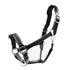 Black leather horse halter with metal hardware.
