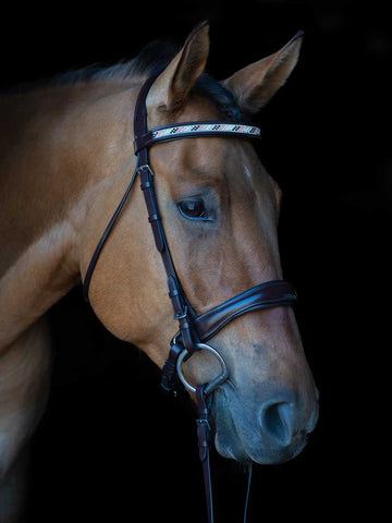 Cologne English Snaffle Bridle