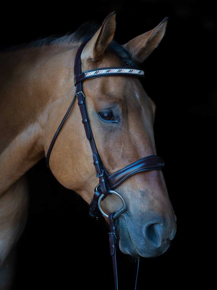 Cologne Snaffle Bridle with Beaded Browband