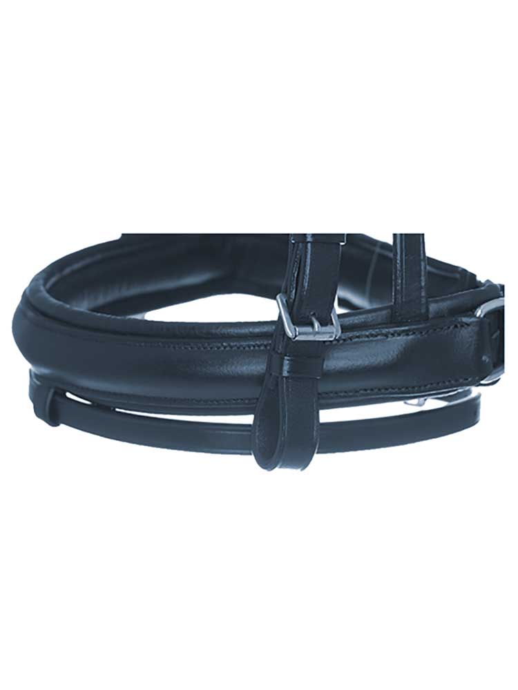Southport Crank Dressage Bridle with Flash