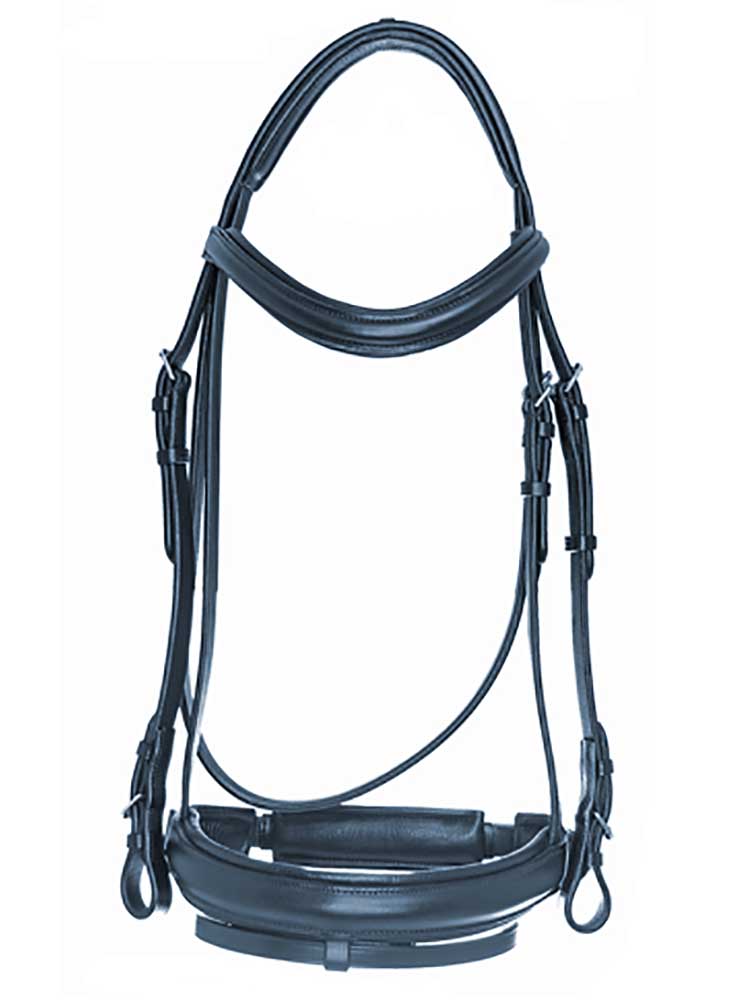 Southport Crank Dressage Bridle with Flash