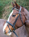 Danube Dressage Bridle with Clincher Browband