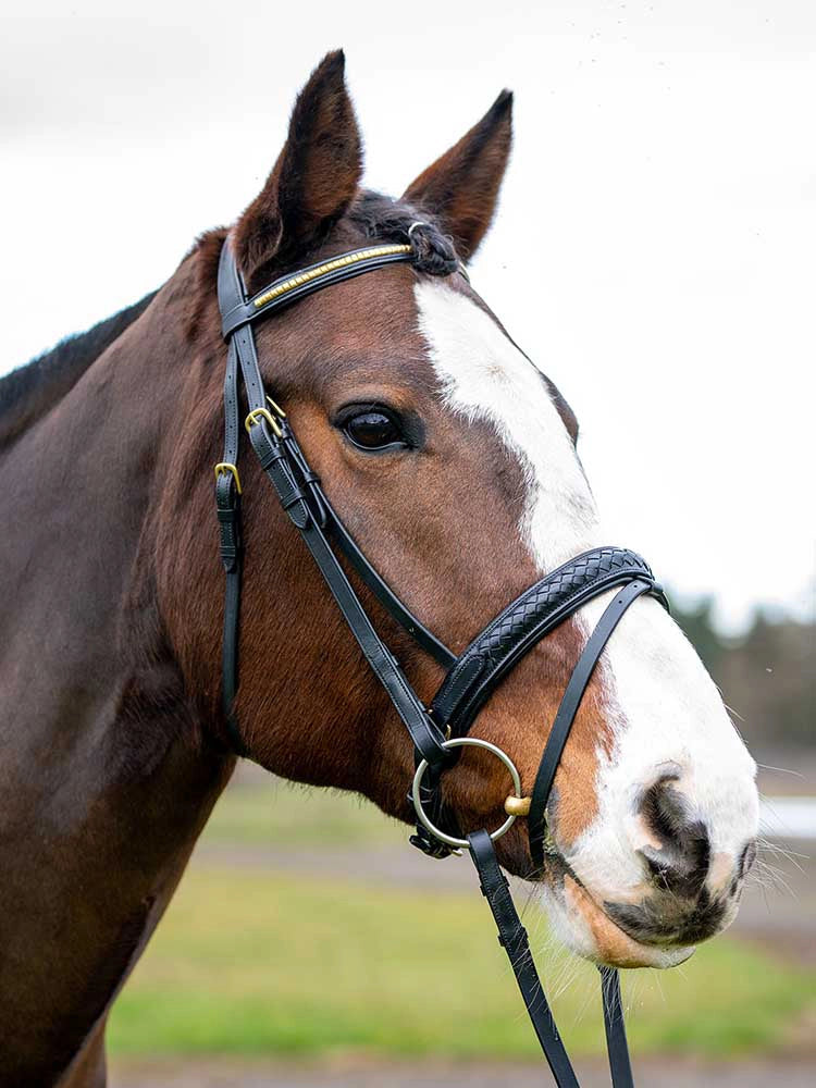 Danube Dressage Bridle with Clincher Browband