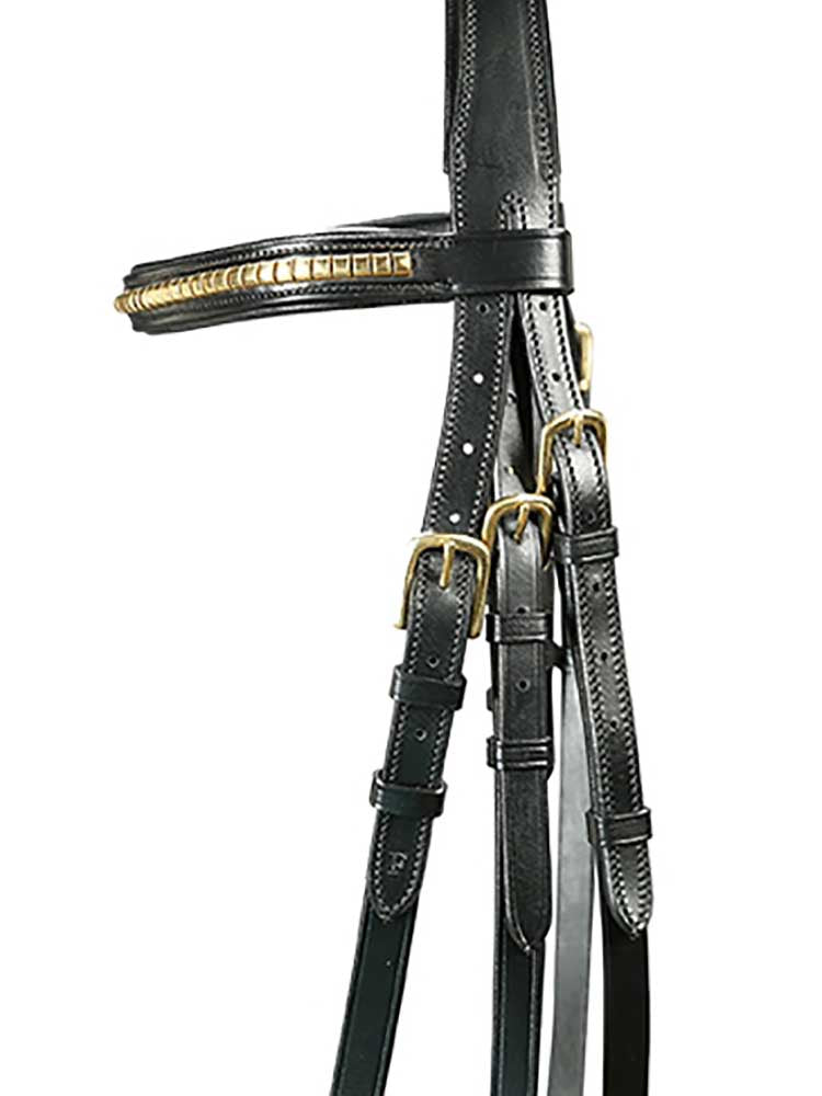 Danube Dressage Bridle with Clincher Browband