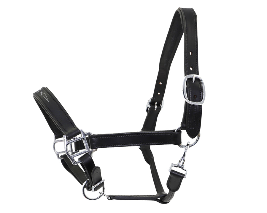 Padded leather horss halter