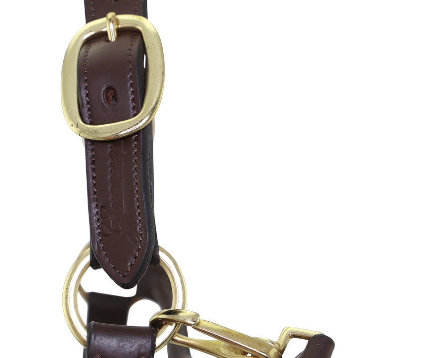 Padded leather horss halter