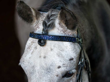 Crystal browband with bling