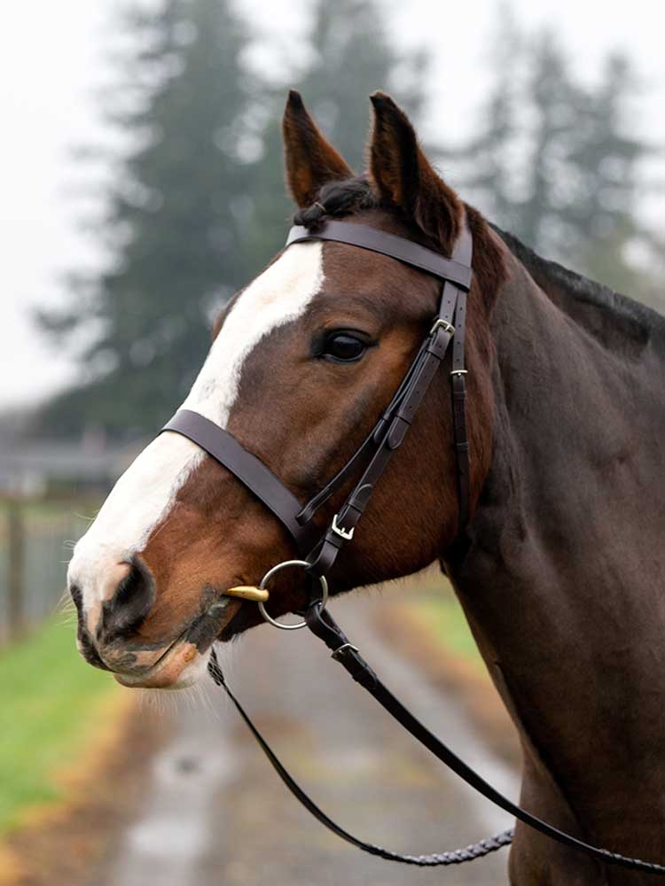 Fox Hunting Snaffle Bridle
