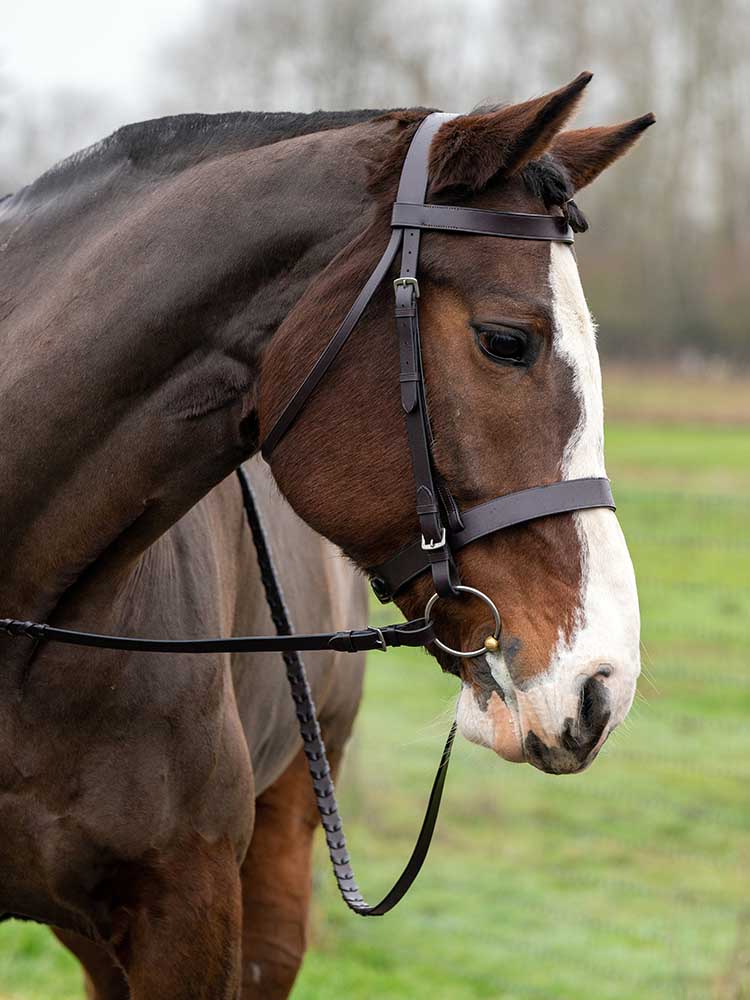 Fox Hunting Snaffle Bridle