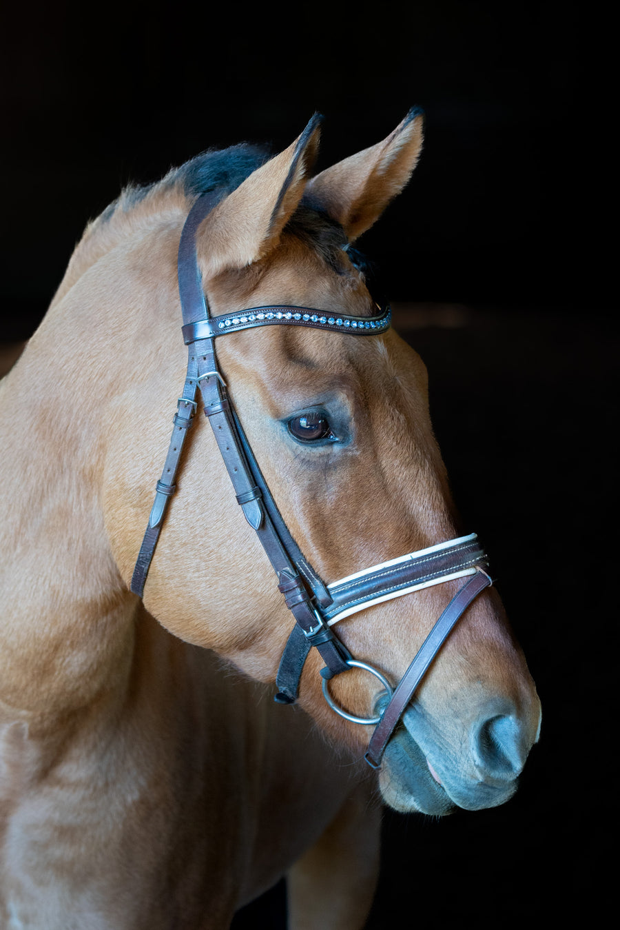 Crystal browband with bling