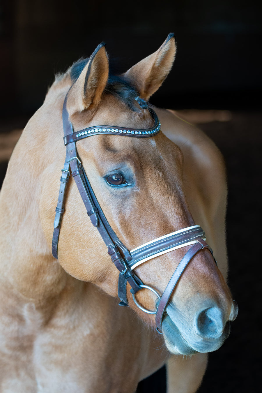 Crystal browband with bling