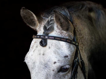 Glistening Copper Browband