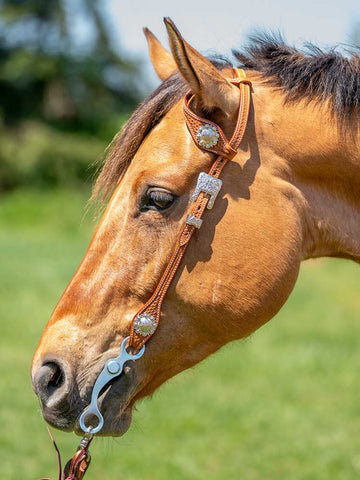 Western Single Ear Headstall with Conchos - London Gold